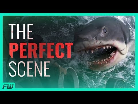 The PERFECT Scene in Jaws | FandomWire Video Essay