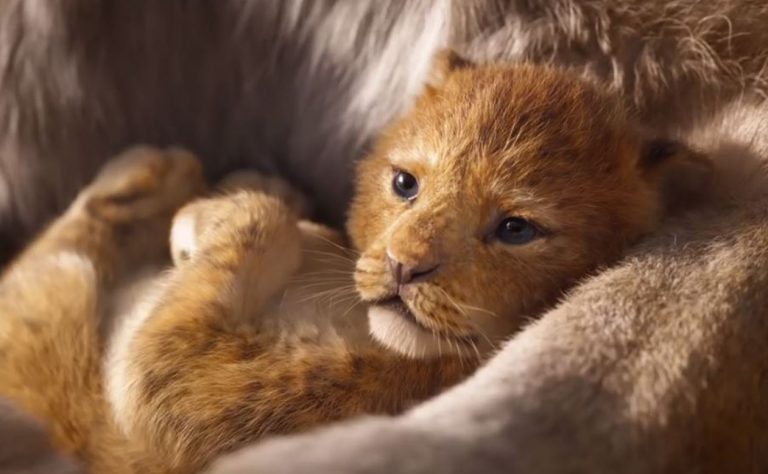 'The Lion King' Trailer Gets 224 Million Views In First 24 Hrs