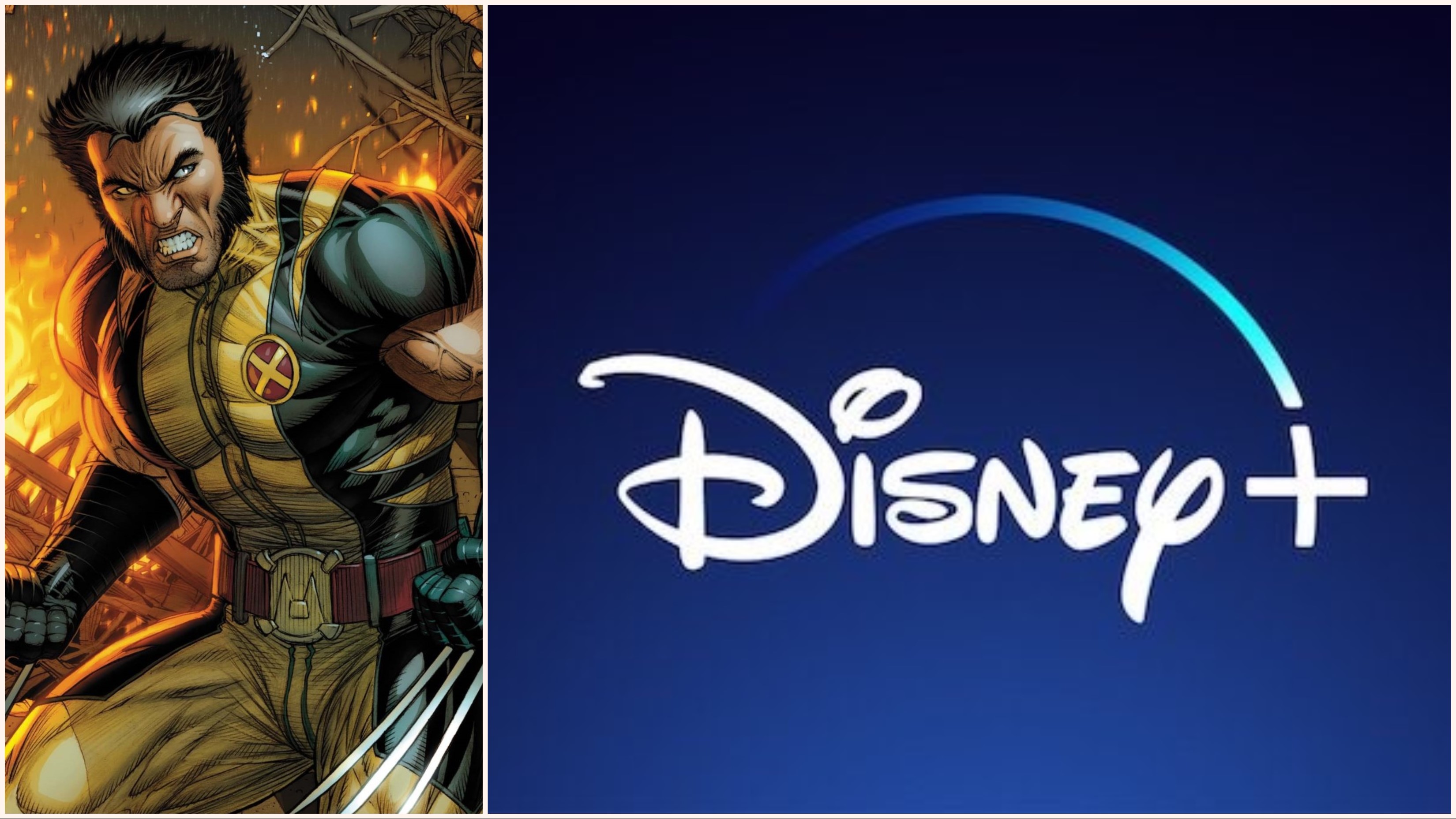 Disney+, the new Disney streaming service, is planning multiple Marvel shows based on X-Men properties they've acquired from Fox.