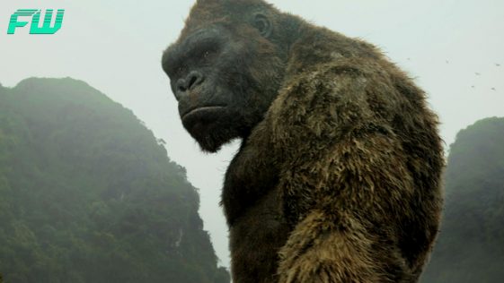 Kong vs. Godzilla Prequel Comic Reveals Adult King Kong