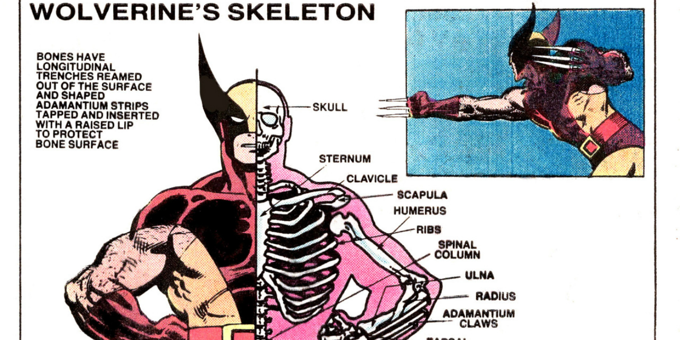 wolverine skeleton