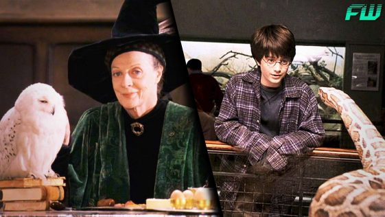 10 Odd Harry Potter Facts That Were Revealed After The Books