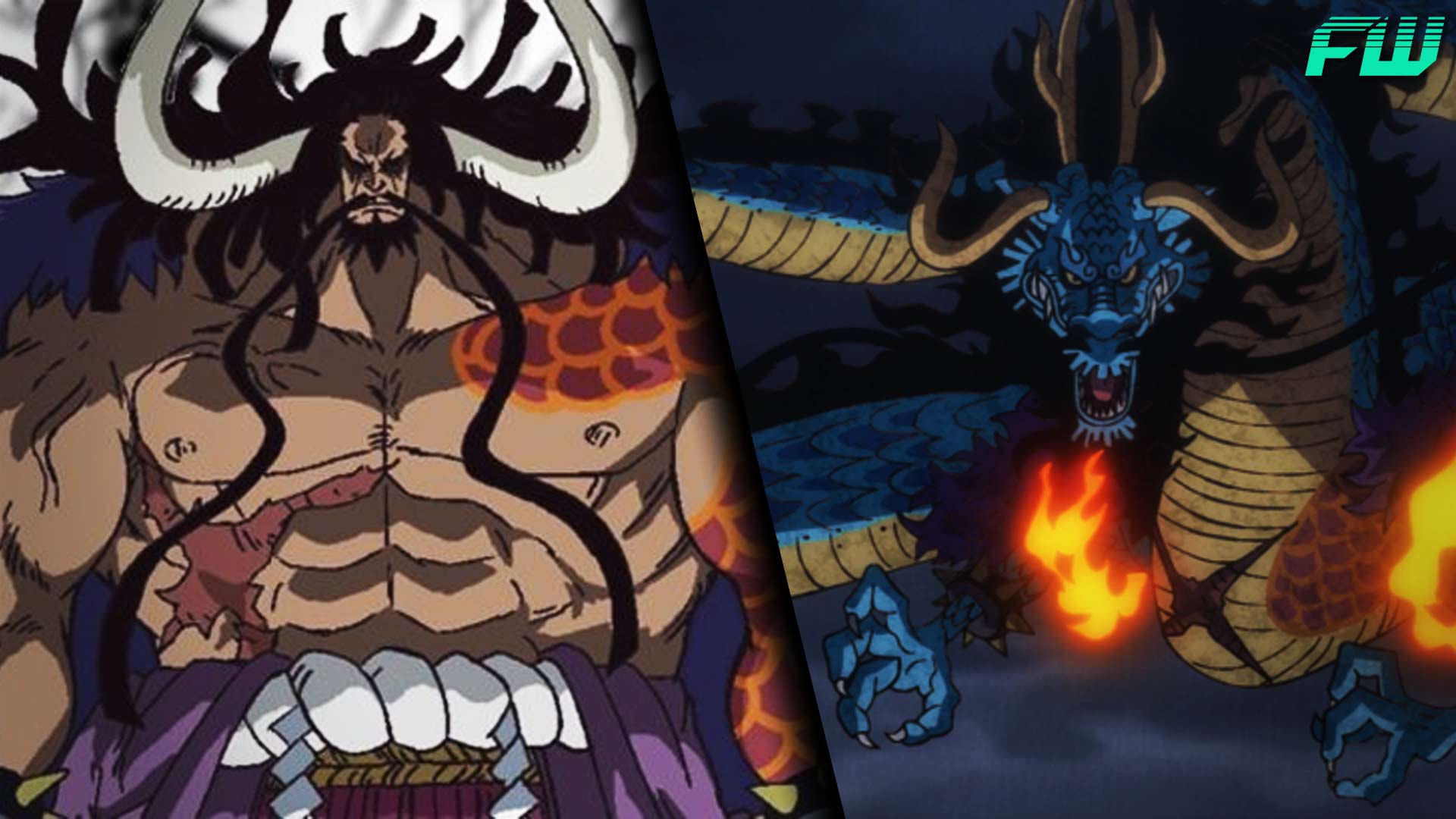 Did Gol D. Roger Have A Devil Fruit Power & 9 Other One Piece Questions
