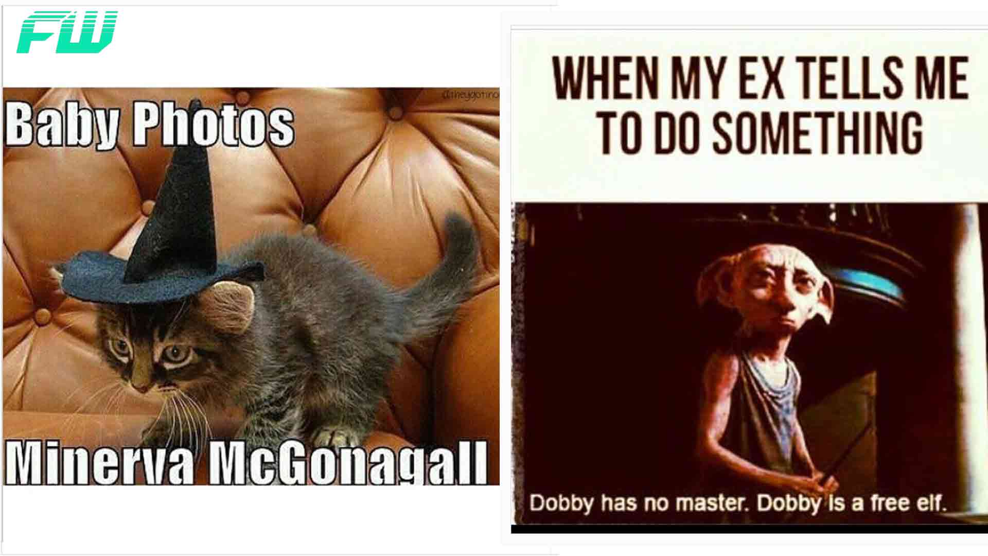 15 Draco Memes Guaranteed to Make Potterheads Laugh Out Loud