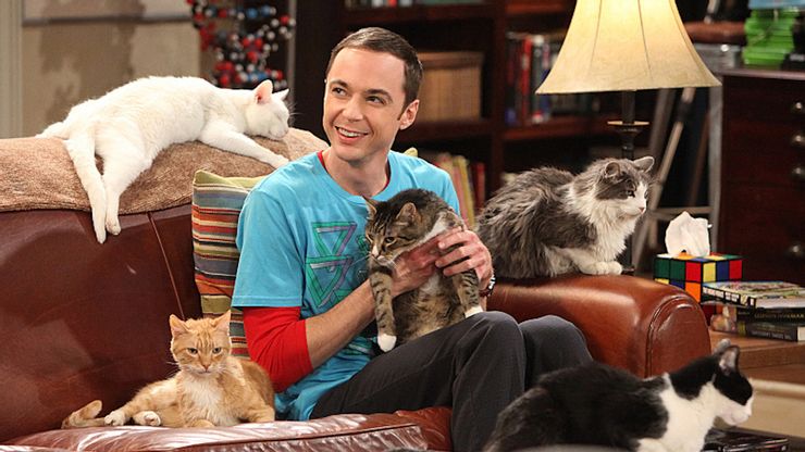 Sheldon Cooper in The Big Bang Theory 