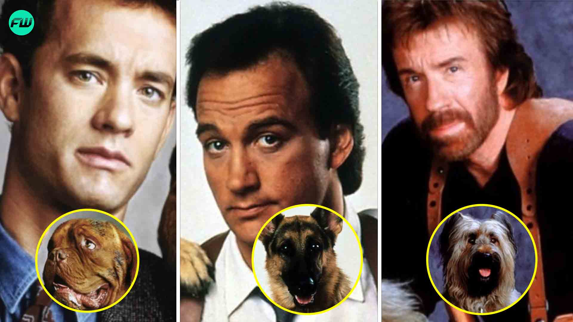 9 Great Animal Movies About Their Friendship With Humans - FandomWire