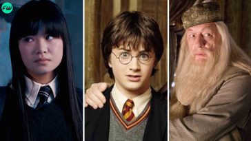 Harry Potter Storylines That Hovered Out Of The Series Like A Real Life Wingardium Leviosa 1
