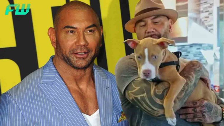 MCU Star Dave Bautista Adopts an Abused Puppy Offers a Cash Reward To Find The Perpetrator