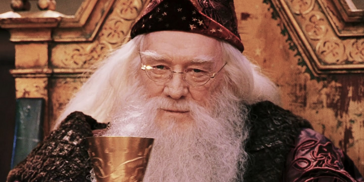 Albus Dumbledore Harry Potter