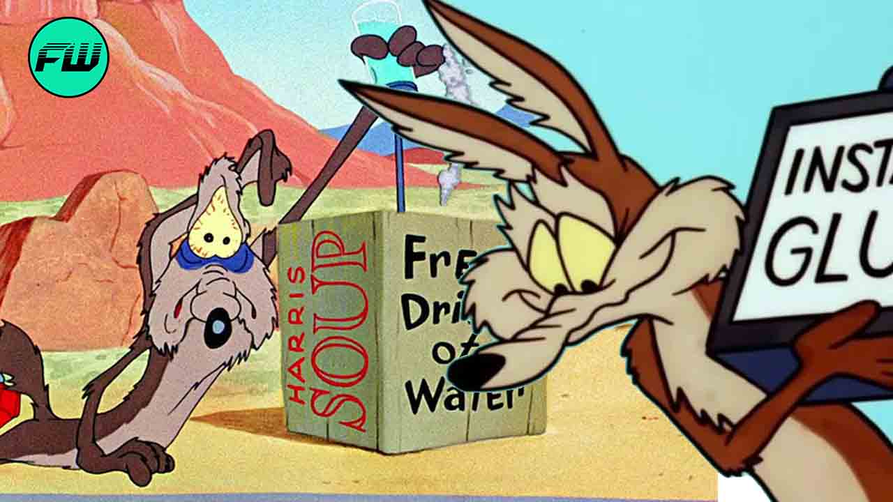 Coyote vs. Acme: Everything We Know So Far About The Upcoming Road Runner  Film - FandomWire
