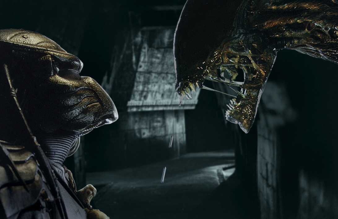 New Alien Vs Predator Under Development - FandomWire