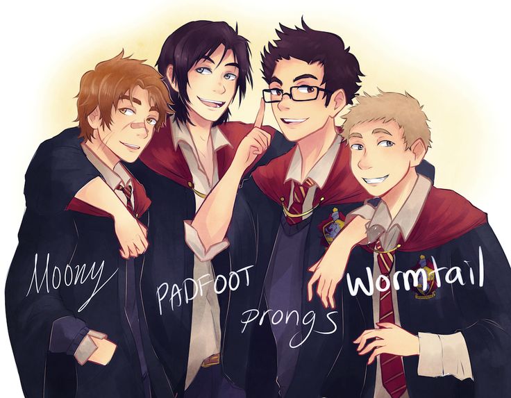 The four Marauders: James, Sirius, Remus and Peter.
