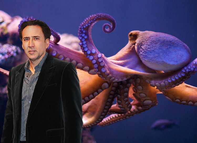 Nic Cage owns a pet Octopus.
