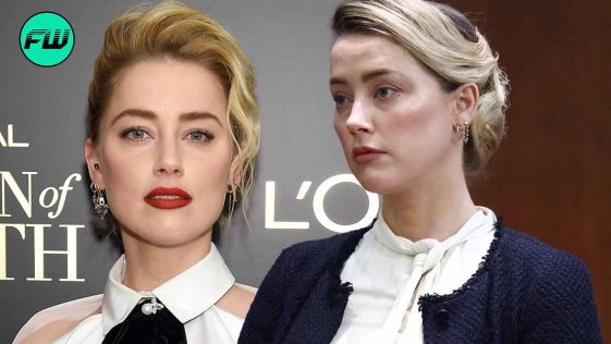 Amber Heard May Face Another Multi Million Dollar Dog Smuggling Lawsuit