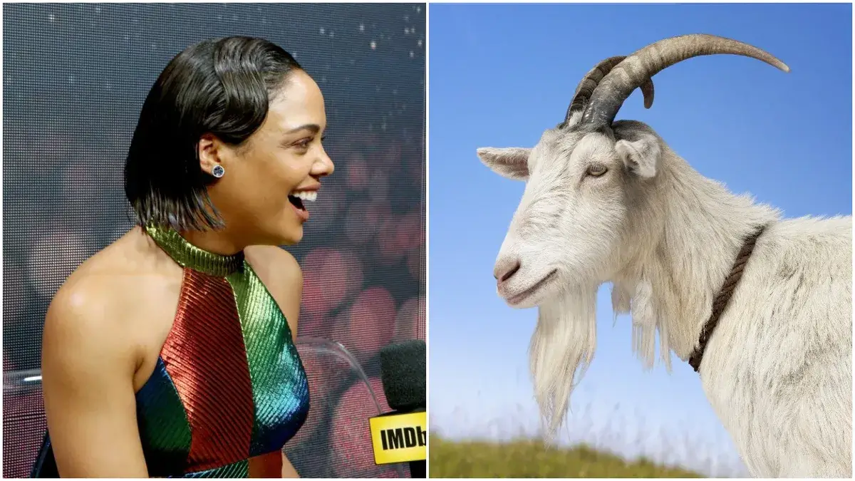 Tessa Thompson wants a goat