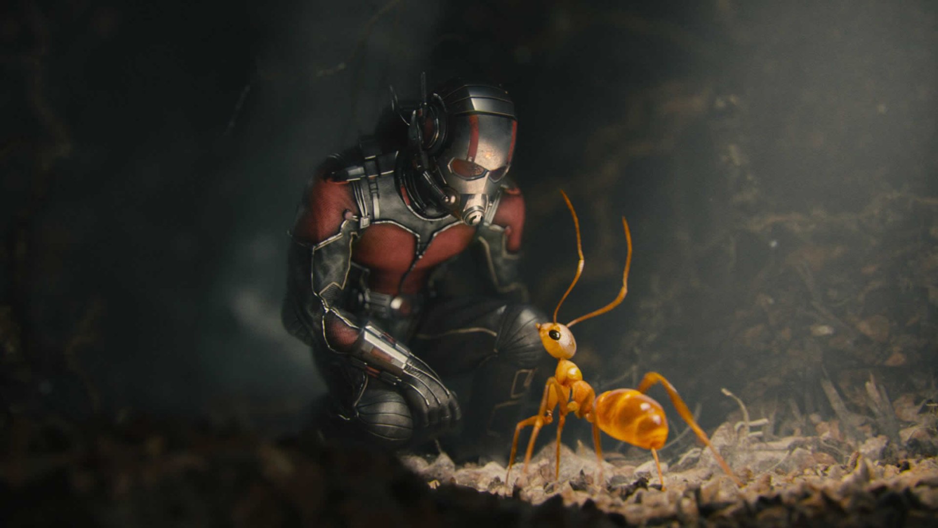 Paul Rudd played the role of Scott Lang in Ant-Man (2015).
