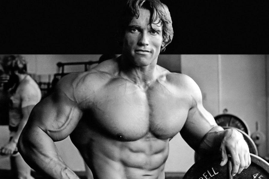 Arnold Schwarzeneggers Diet and Workout Plan 1