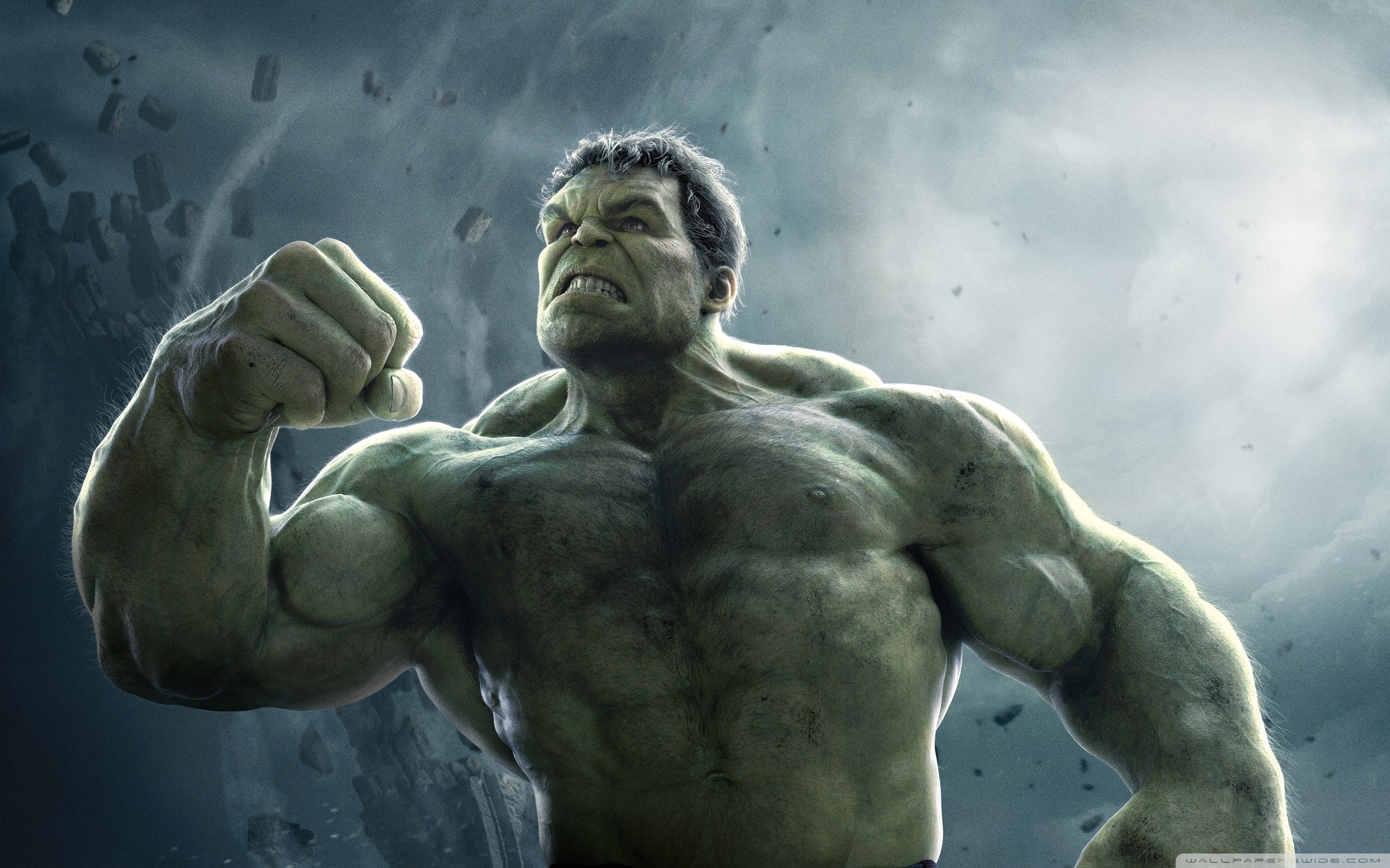 Dr. Bruce Banner aka The Hulk.