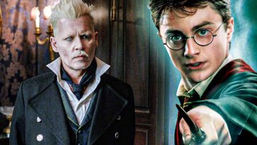 Harry Potter Director is Still Hopeful for Fantastic Beasts Revival After Franchise Kicked Out Johnny Depp and Failed Miserably