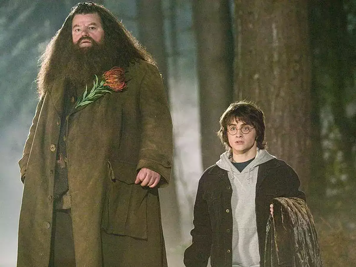 Robbie Coltrane as Rubeus Hagrid in the Harry Potter franchise