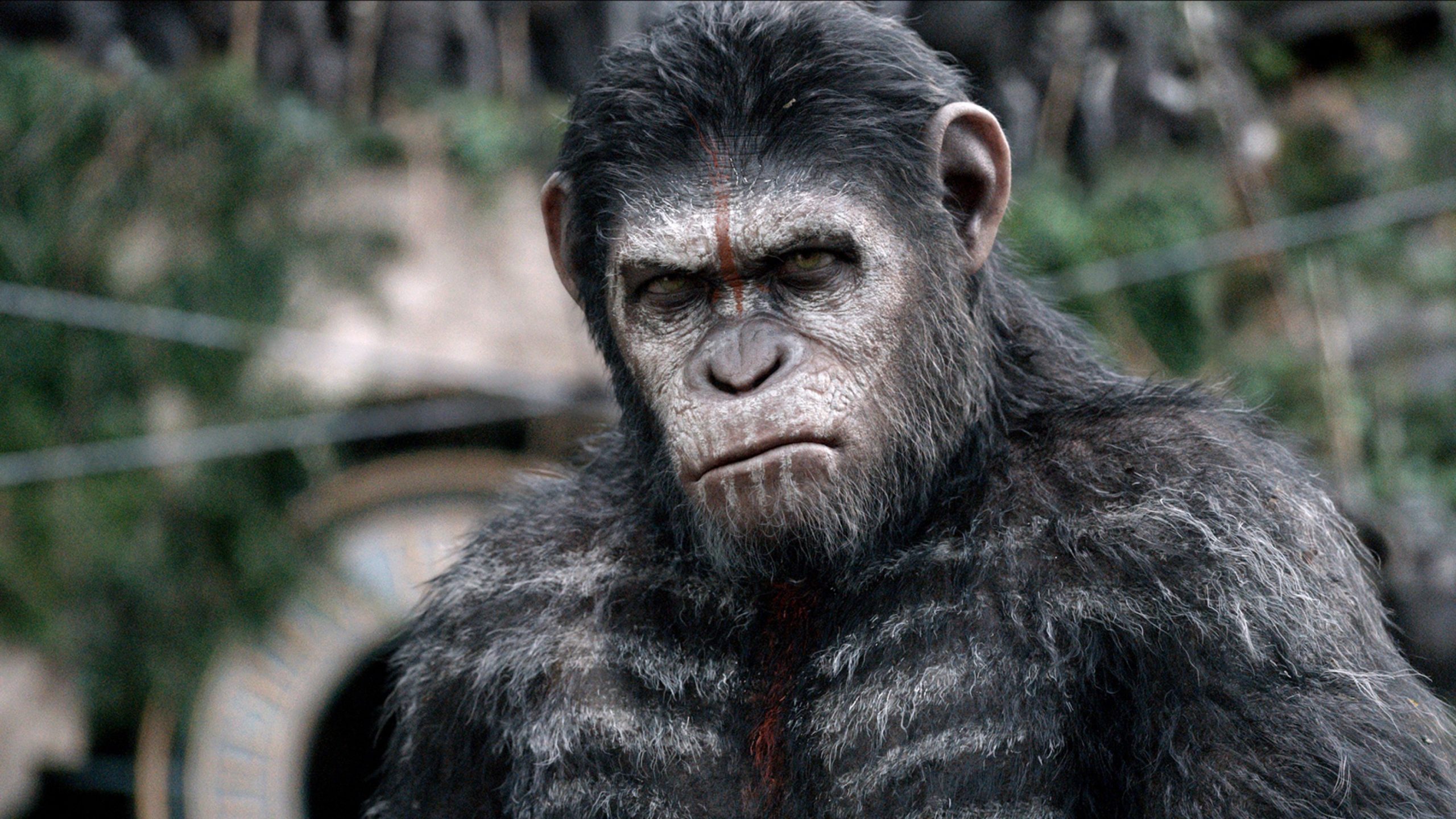 Ceaser in Dawn of the Planet of the Apes, played by Andy Serkis