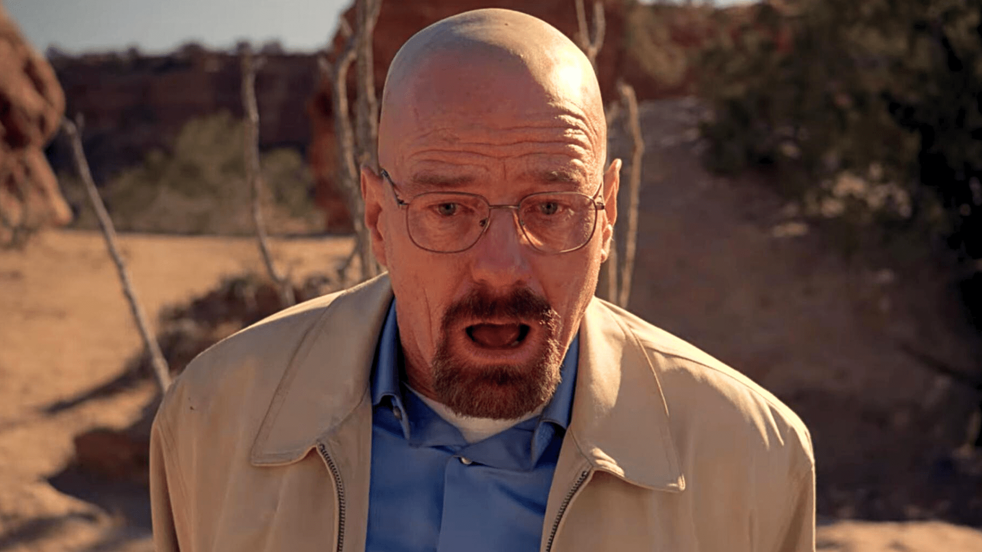 They never really changed”: Bryan Cranston Compared His Arc in Breaking Bad  to FRIENDS Characters Ross and Rachel For a Reason - FandomWire