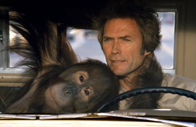 Clint Eastwood in Every Which Way but Loose