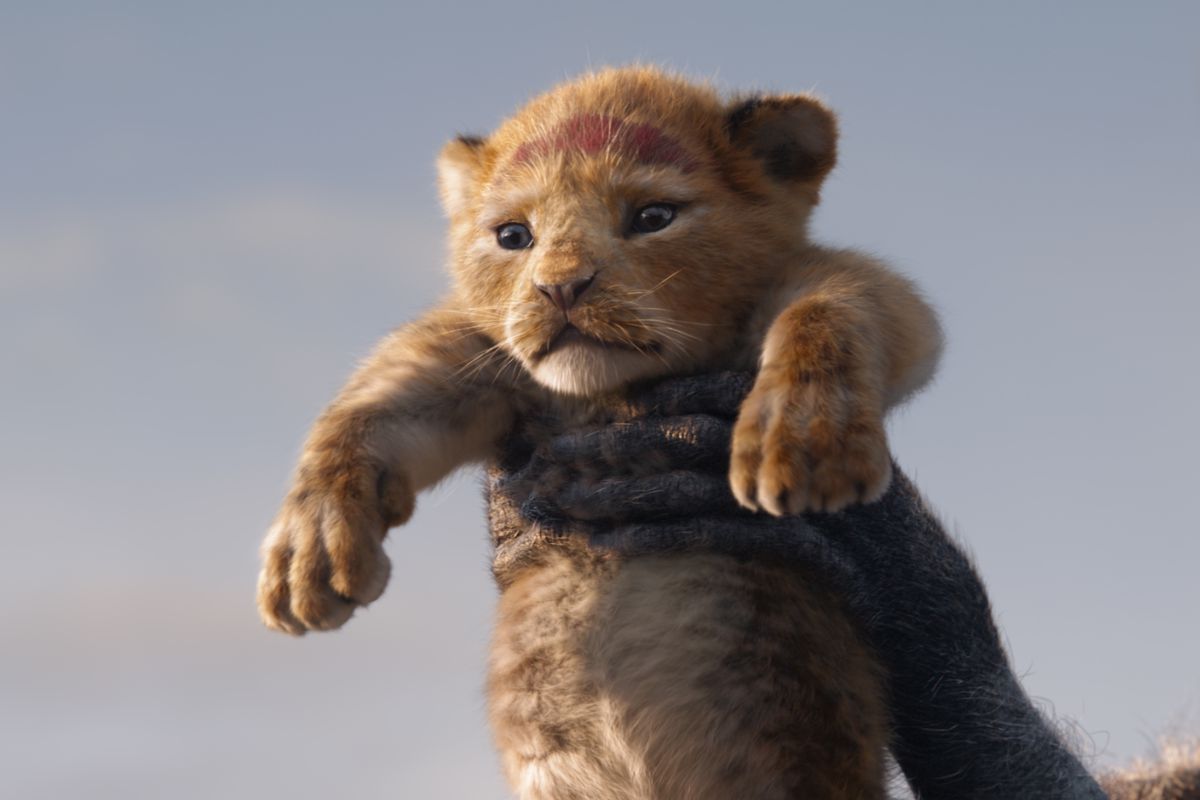 A still from Disney's 2019 remake of The Lion King