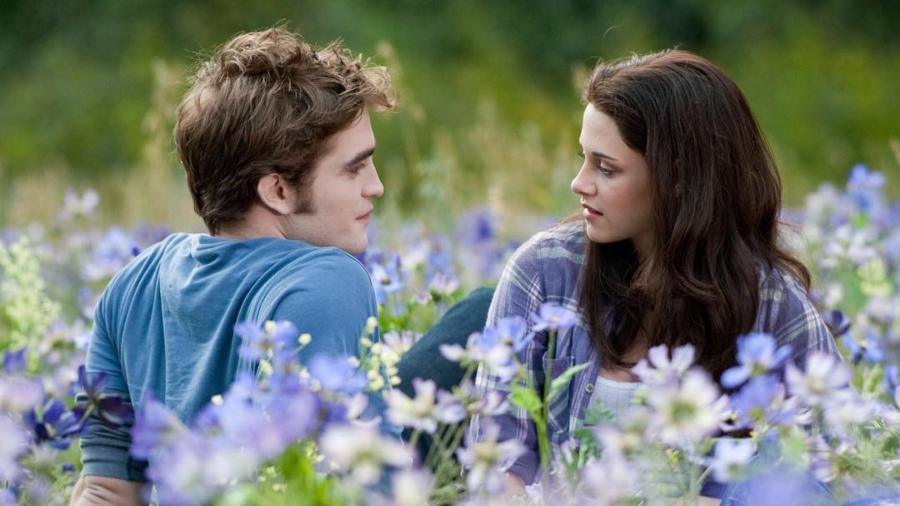 Robert Pattinson and Kristen Stewart had great chemistry as Edward Cullen and Bella Swan