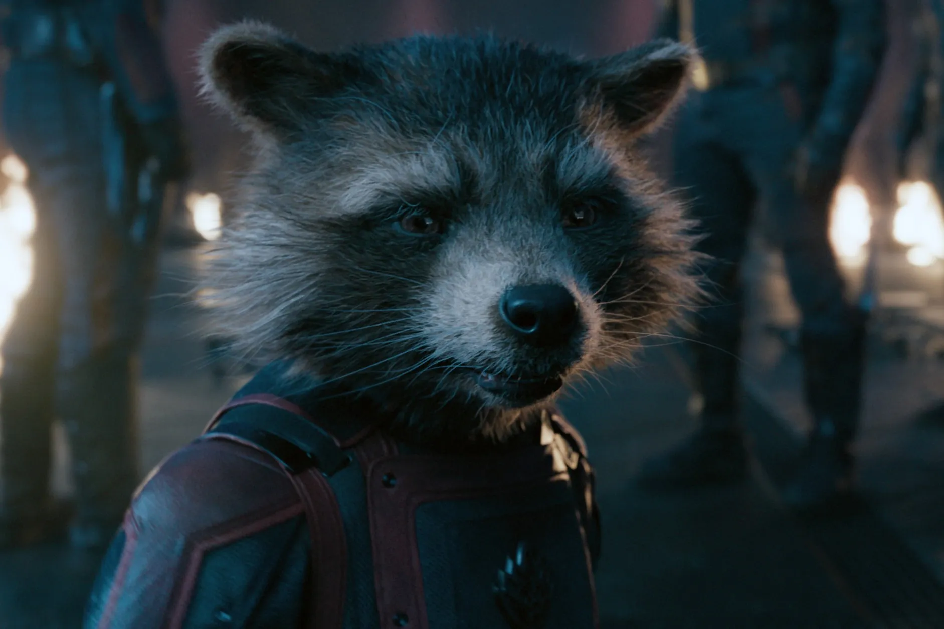 Bradley Cooper is the voice of the Marvel character Rocket Raccoon 