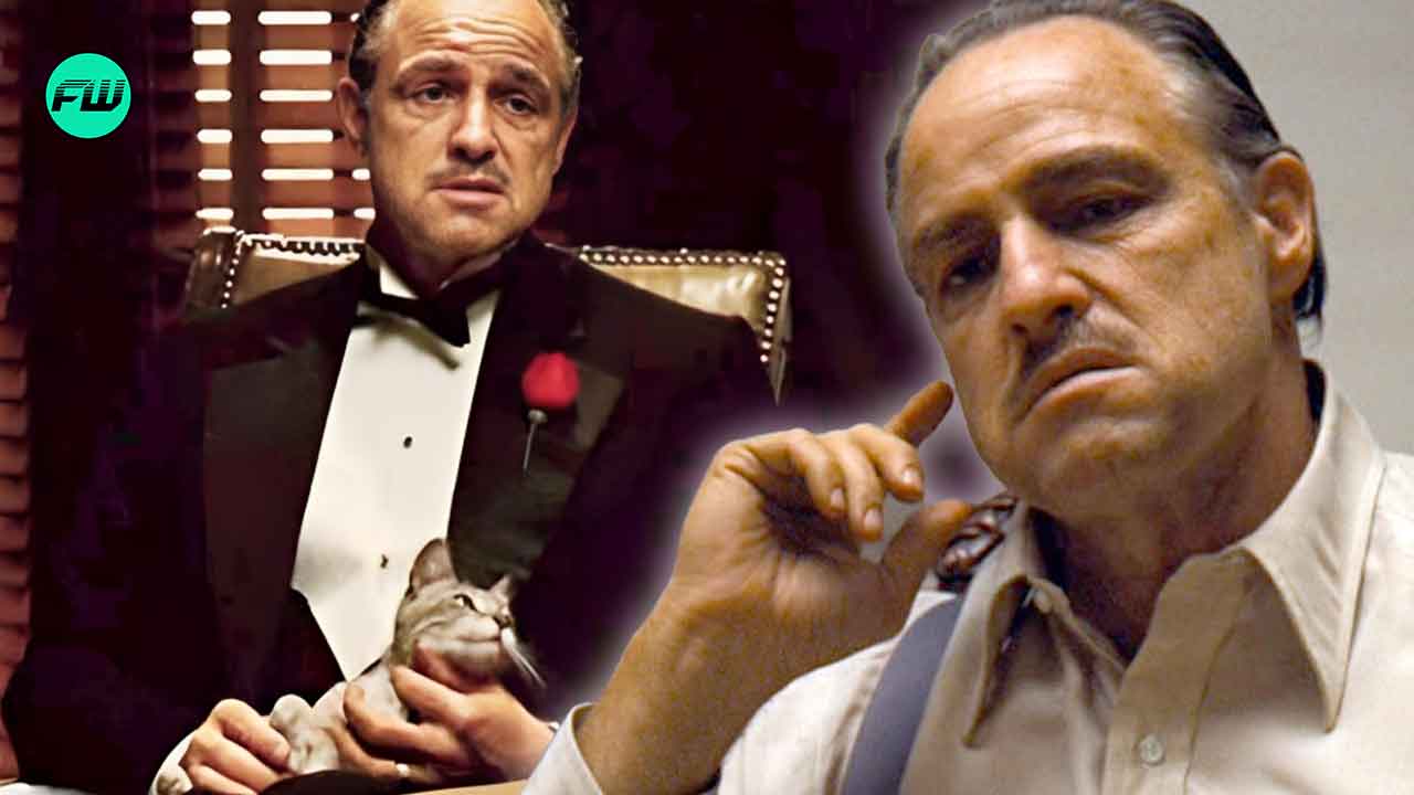Insane Story Behind The Cat On Marlon Brando's Lap During One Of The Most Iconic Scene From The Godfather Will Make Your Day