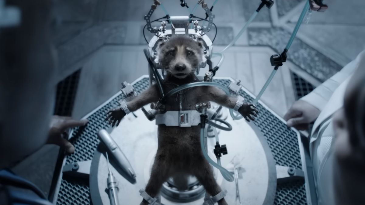 Rocket's origin story explored the cruel side of animal experimentation