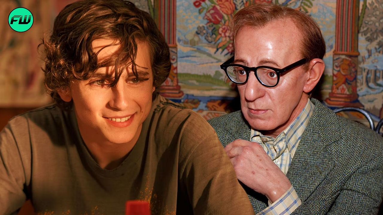 timothée chalamet donated his entire salary from woody allen movie in a praise worthy move
